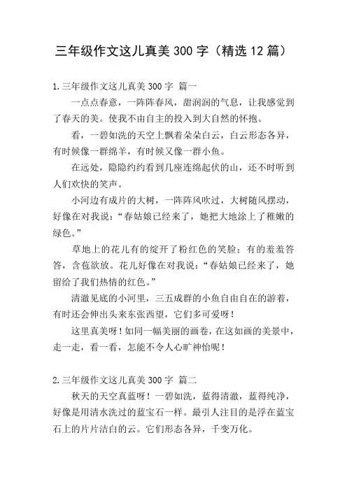 三年级作文这儿真美300字(精选12篇)