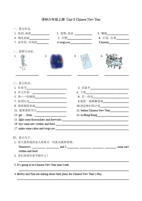 译林英语六年级上册第八单元练习试卷(word版,含答案)