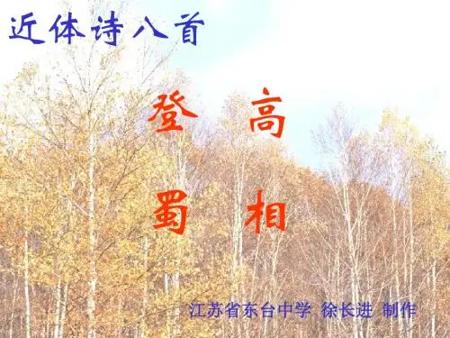 登高蜀相 PPT课件 13 人教版