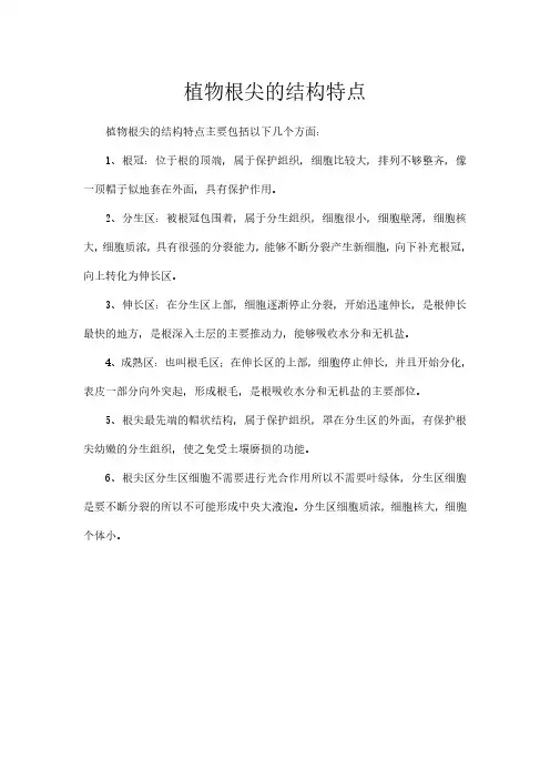 植物根尖的结构特点