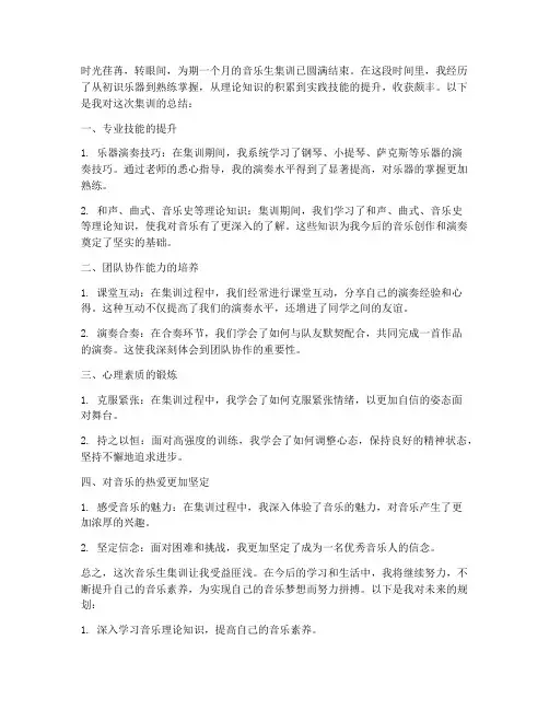 音乐生集训总结范文
