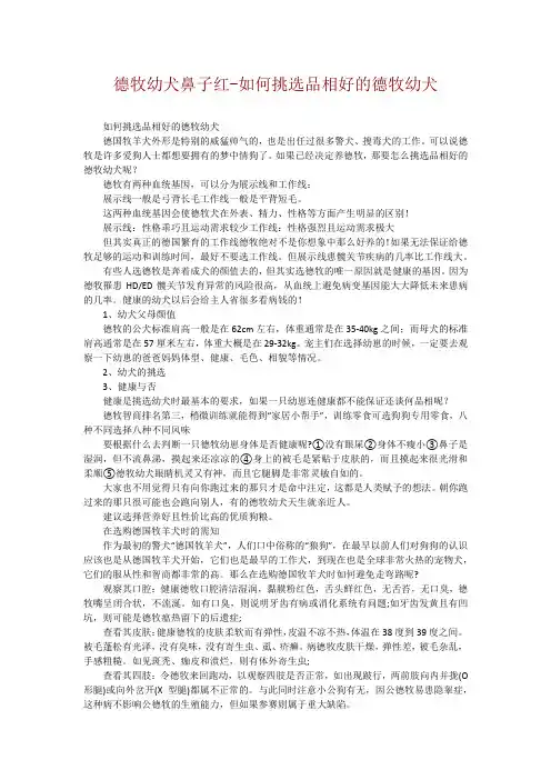 德牧幼犬鼻子红-如何挑选品相好的德牧幼犬