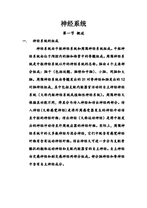神经系统