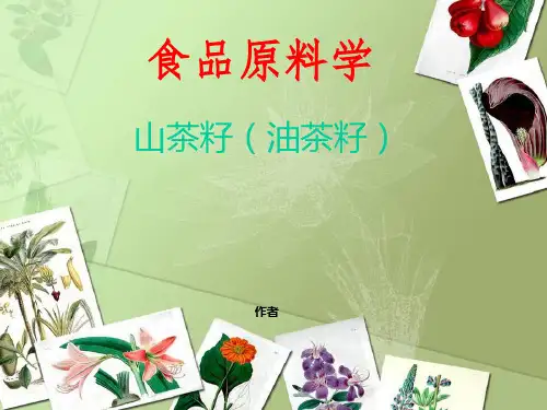 茶树籽油的简介