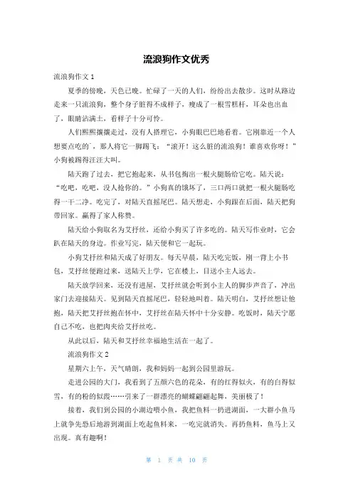 流浪狗作文优秀