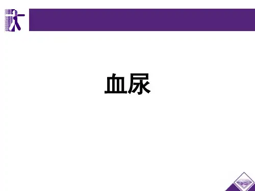 血尿PPT演示课件
