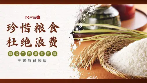 珍惜粮食杜绝浪费主题教育PPT