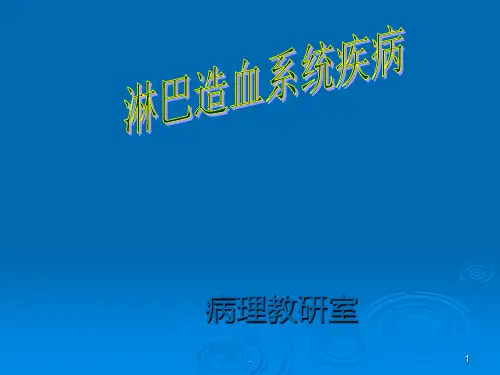 造血系统-中文ppt课件