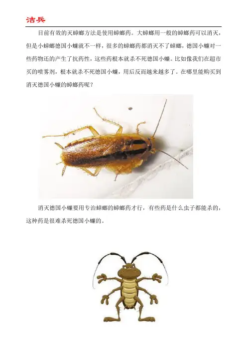 购买消灭德国小蠊蟑螂药