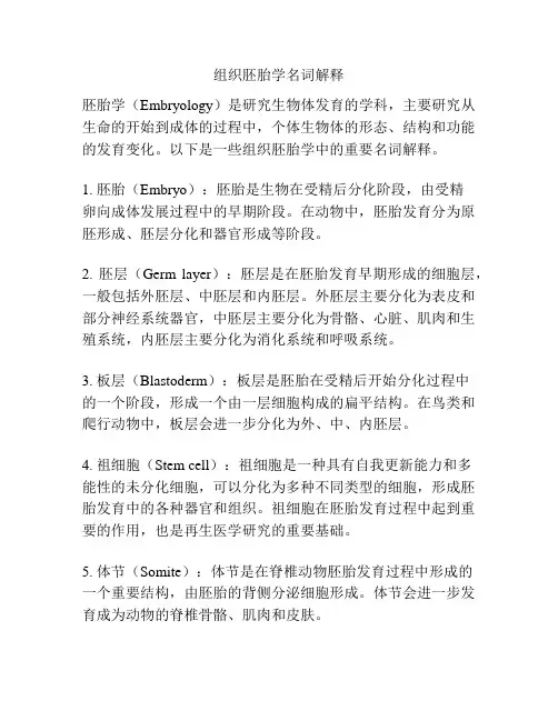 组织胚胎学名词解释
