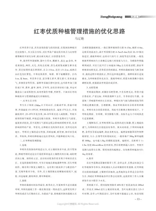红枣优质种植管理措施的优化思路