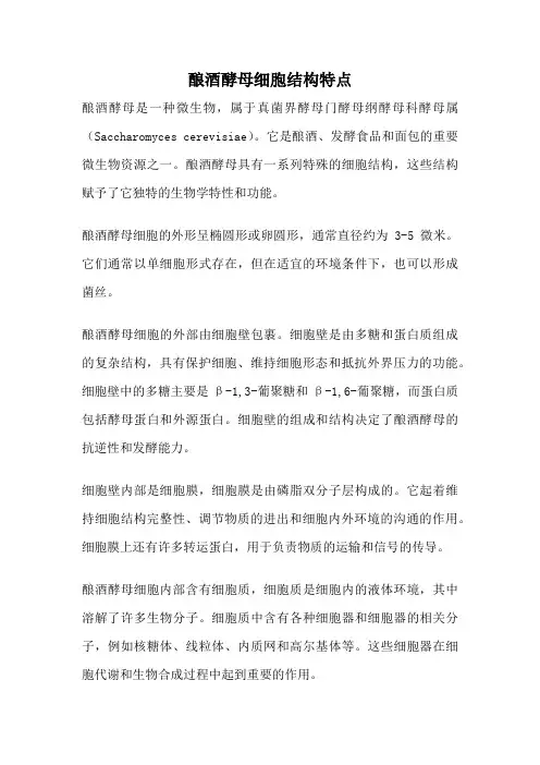 酿酒酵母细胞结构特点