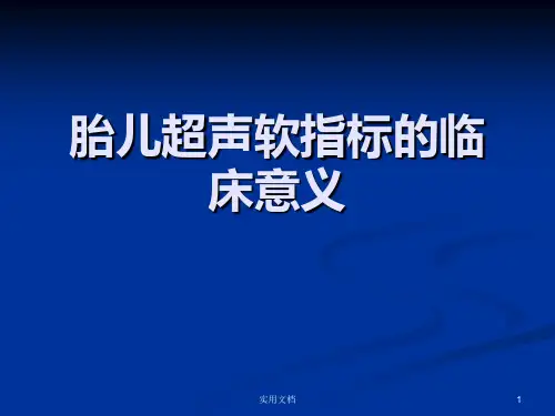 胎儿超声软指标的临床意义