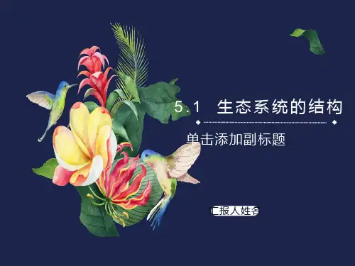生态系统的结构PPT