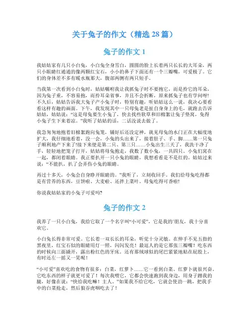 关于兔子的作文(精选28篇)
