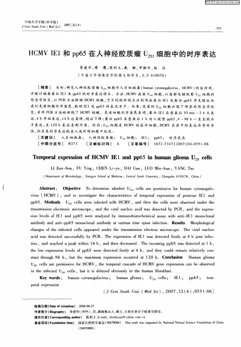 HCMV IE1和pp65在人神经胶质瘤U251细胞中的时序表达