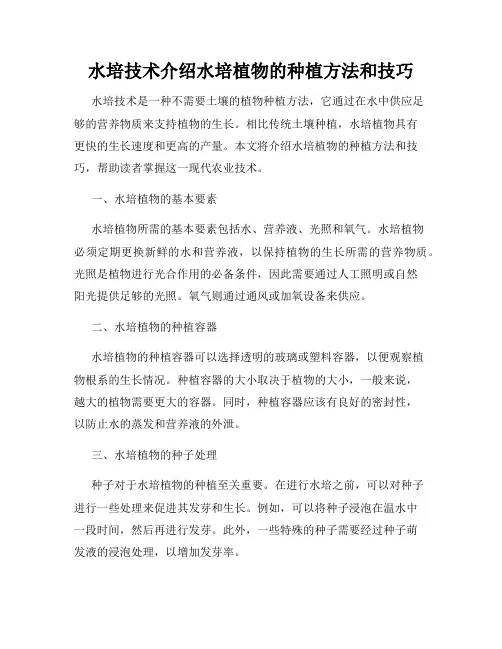 水培技术介绍水培植物的种植方法和技巧