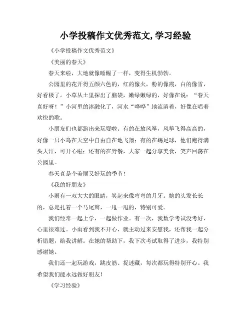 小学投稿作文优秀范文,学习经验