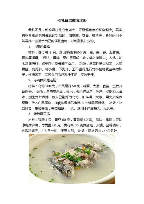 催乳食谱做法攻略