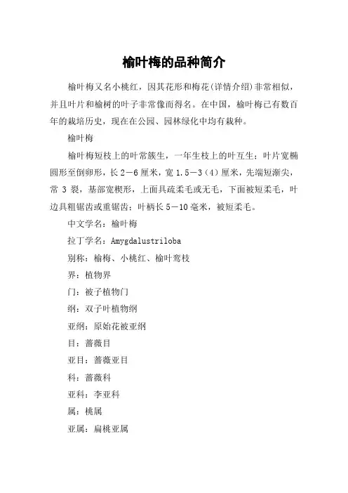 榆叶梅的品种简介