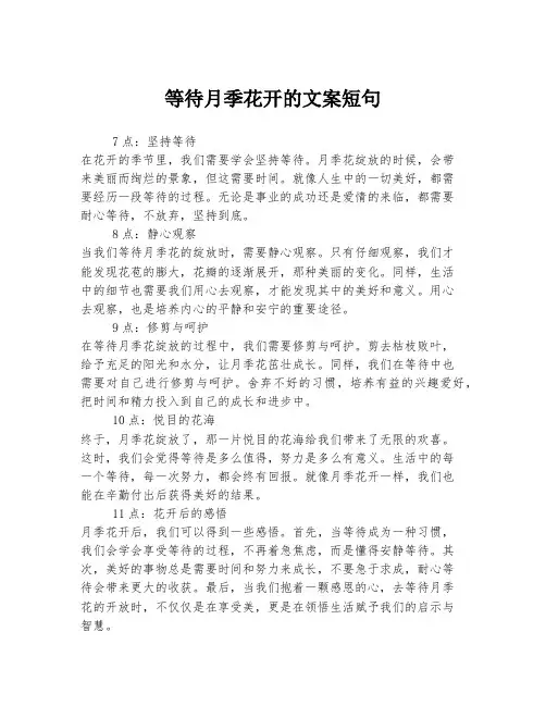 等待月季花开的文案短句