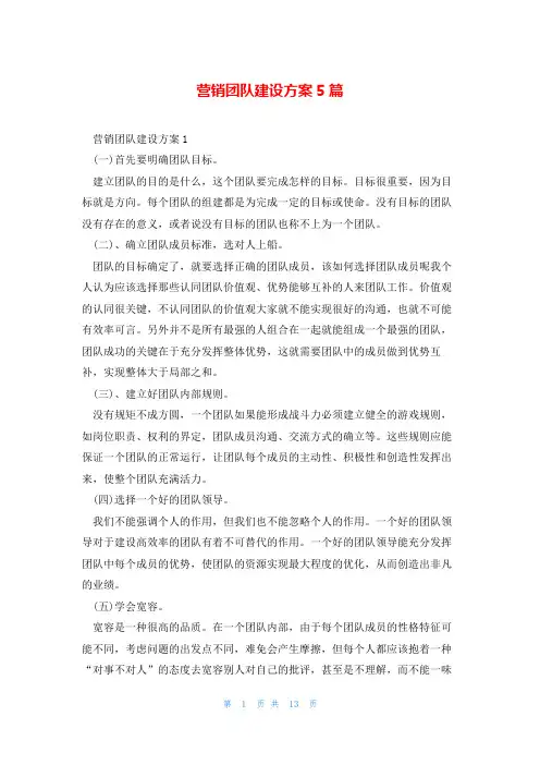 营销团队建设方案5篇