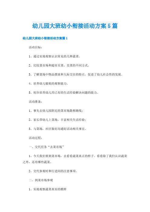 幼儿园大班幼小衔接活动方案5篇