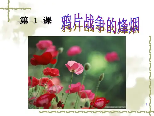 第一课鸦片战争的烽烟PPT课件