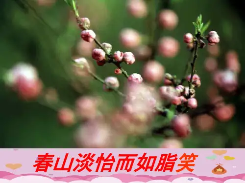 追寻高雅生活ppt优秀课件9 人教版