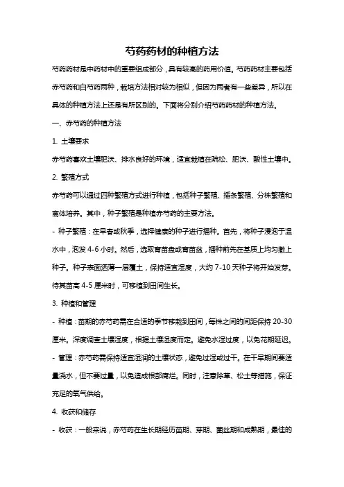 芍药药材的种植方法