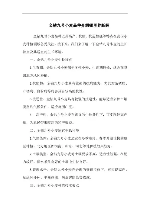 金钻九号小麦品种介绍哪里养蚯蚓