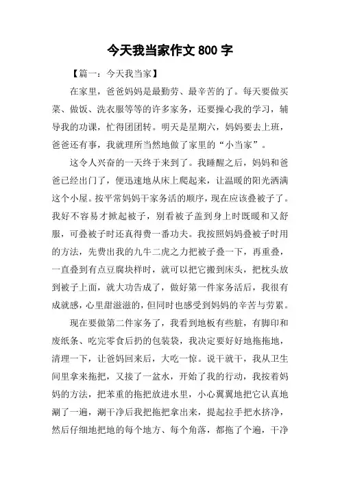 今天我当家作文800字