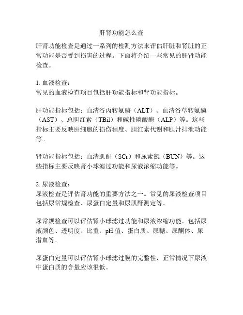 肝肾功能怎么查