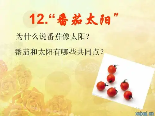 《番茄太阳》ppt课件