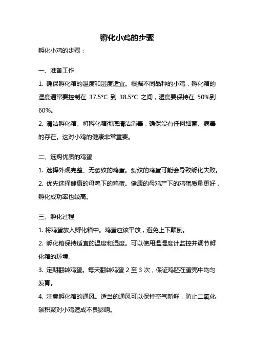 孵化小鸡的步骤