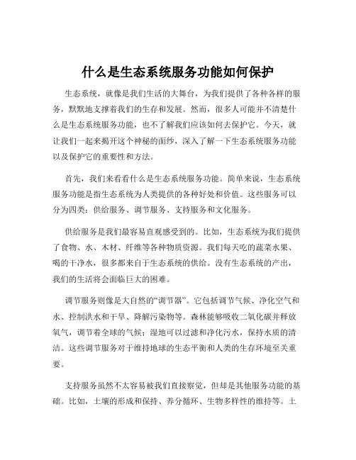 什么是生态系统服务功能如何保护