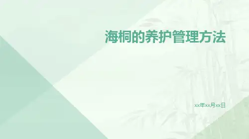 海桐的养护管理方法