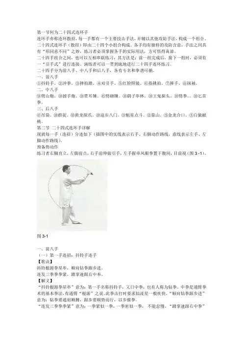 【通背拳】二十四式连环手.