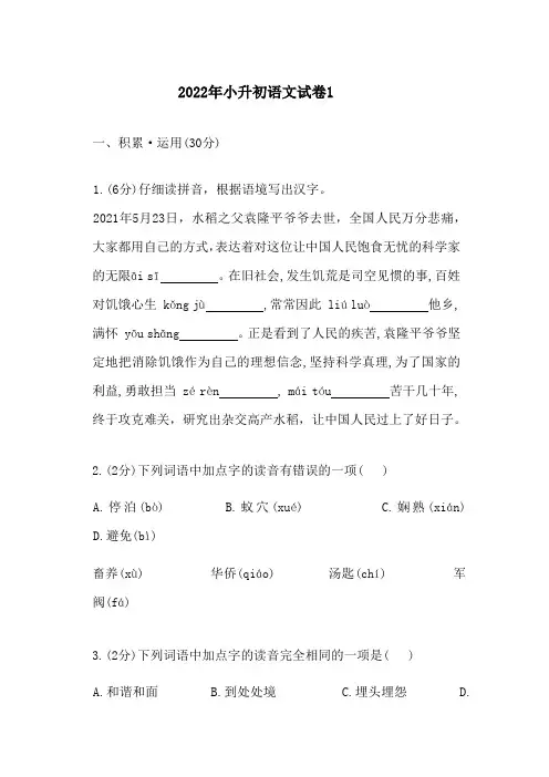 2022年小升初语文试卷1