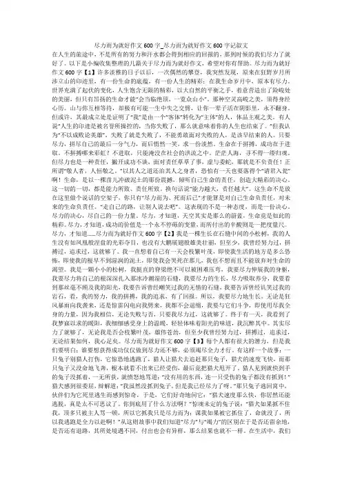 尽力而为就好作文600字_尽力而为就好作文600字记叙文 