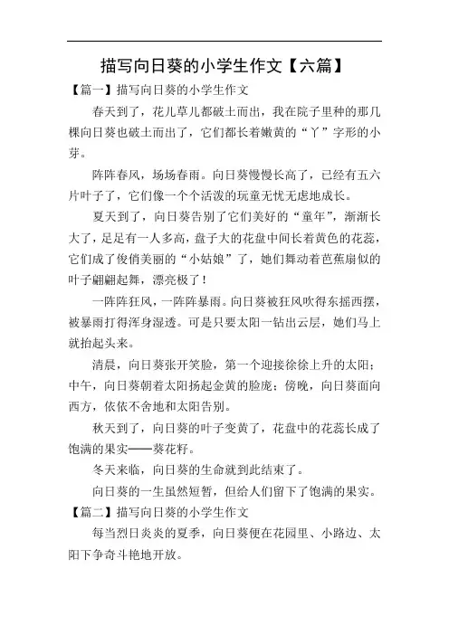 描写向日葵的小学生作文【六篇】