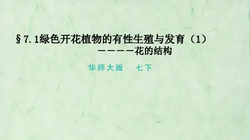 华师大科学版七下7-1绿色开花植物的有性生殖与发育