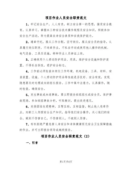 项目作业人员安全职责范文（3篇）