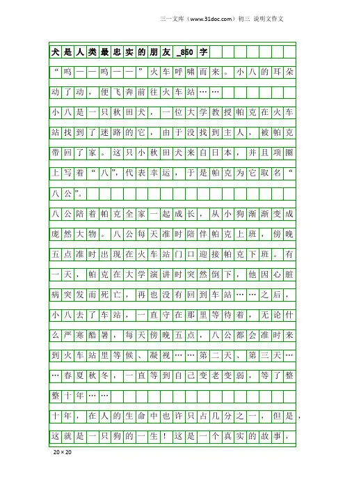 初三说明文作文：犬是人类最忠实的朋友_850字