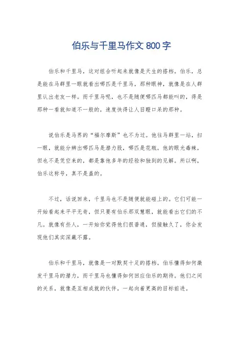 伯乐与千里马作文800字