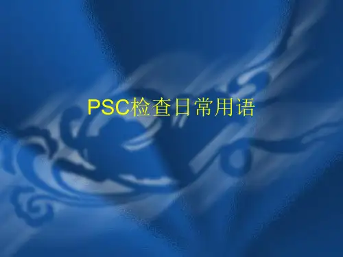 PSC常规检查用语