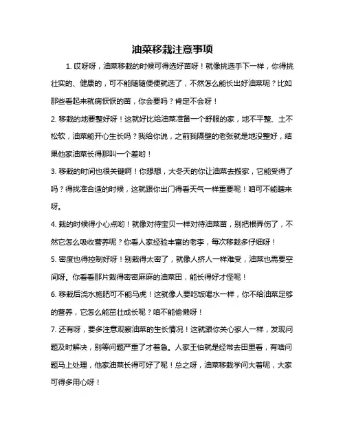 油菜移栽注意事项