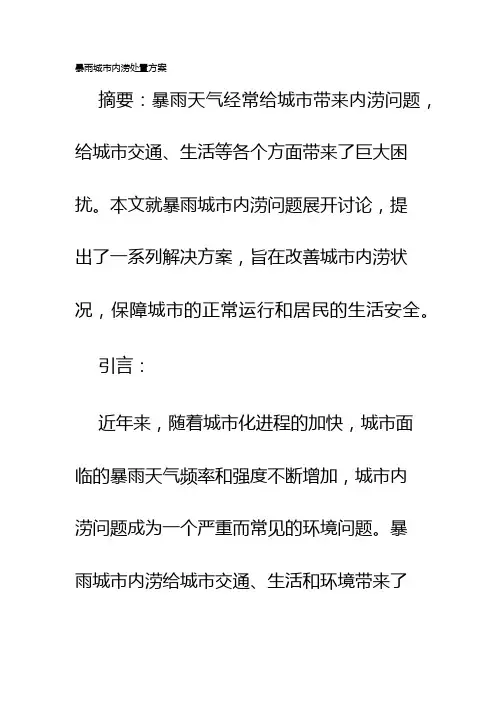 暴雨城市内涝处置方案