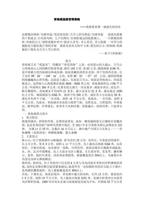 青海湖旅游营销策略--廖先豪