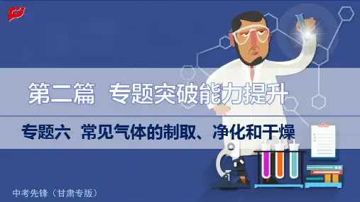 初中化学中考复习之6.专题六 常见气体的制取、净化和干燥